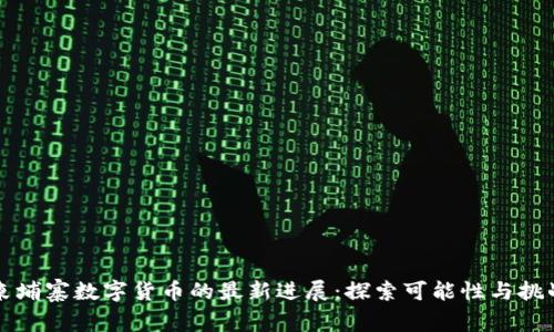 柬埔寨数字货币的最新进展：探索可能性与挑战