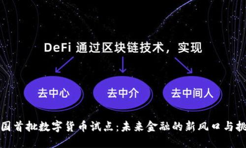 全国首批数字货币试点：未来金融的新风口与挑战
