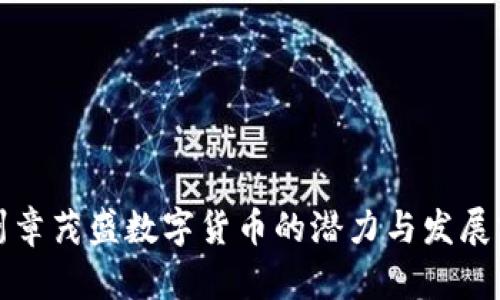 温州章茂盛数字货币的潜力与发展前景