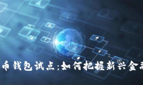 数字货币钱包试点：如何把握新兴金融机遇？