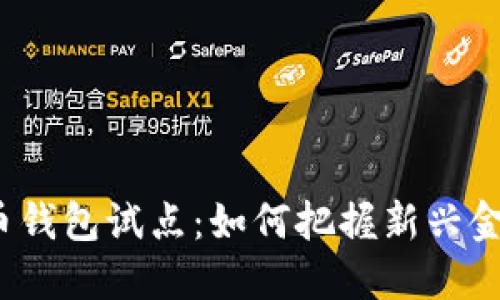 数字货币钱包试点：如何把握新兴金融机遇？