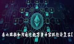 委内瑞拉如何通过数字货币实现经济复
