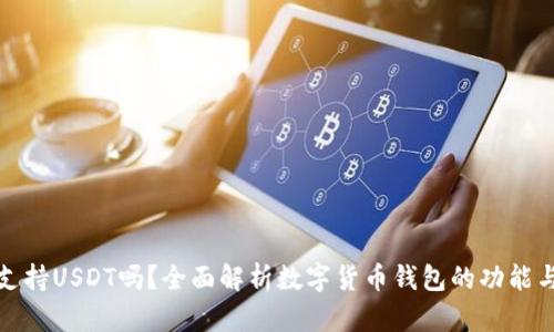 TP钱包支持USDT吗？全面解析数字货币钱包的功能与安全性