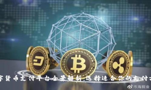 数字货币支付平台全景解析：选择适合你的支付方式