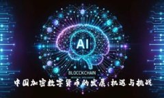 中国加密数字货币的发展：机遇与挑战