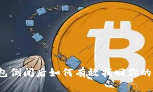 TP钱包倒闭后如何有效找回你的资产？