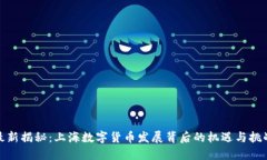 最新揭秘：上海数字货币发展背后的机