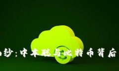 揭开神秘面纱：中本聪与比特币背后的