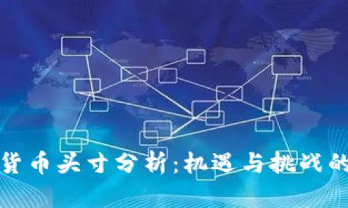 贵阳数字货币头寸分析：机遇与挑战的深度探讨