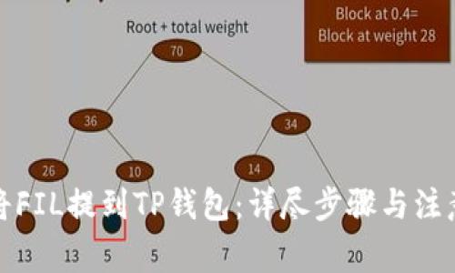 如何将FIL提到TP钱包：详尽步骤与注意事项