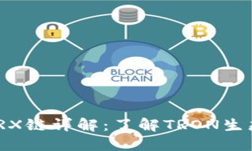 TP钱包中的TRX链详解：了解TRON生态系统的关键