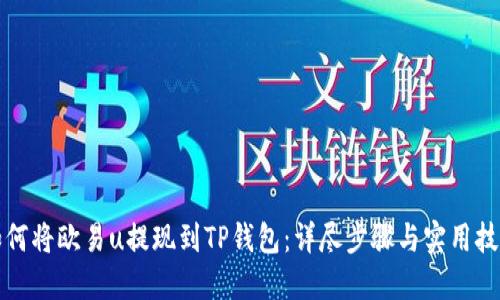 如何将欧易u提现到TP钱包：详尽步骤与实用技巧