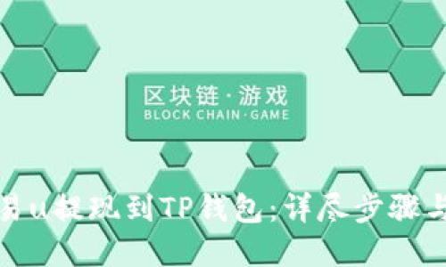 如何将欧易u提现到TP钱包：详尽步骤与实用技巧
