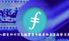 深入探索神州信息数字货币技术的未来